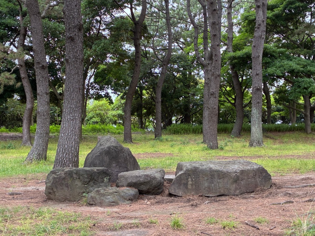 Original photo of a park with a pine grove and boulders